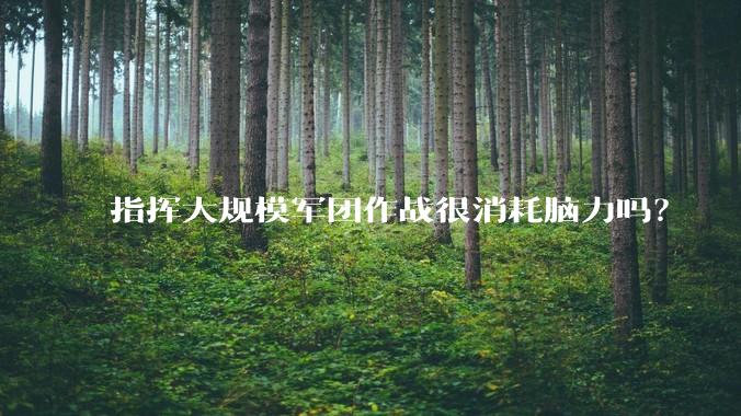 指挥大规模军团作战很消耗脑力吗？