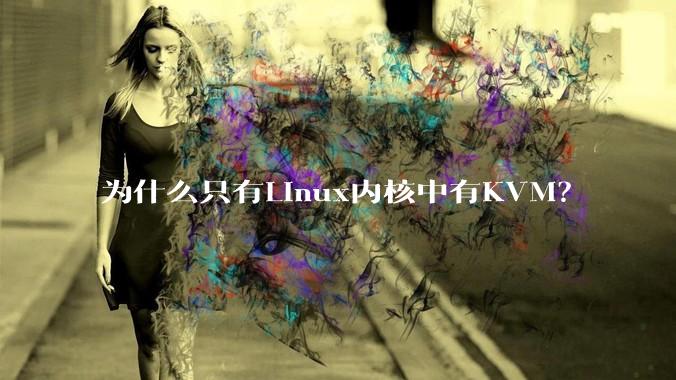 为什么只有Linux内核中有KVM？
