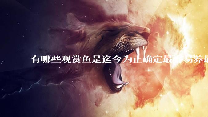 有哪些观赏鱼是迄今为止确定最容易养最不容易死的？